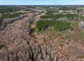 122+/- Acres of Hunting and Timberland In Robeson County, NC