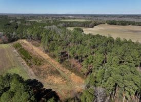 19+/- Acres of Farm and Residential Land For Sale in Robeson County, NC