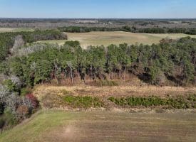 19+/- Acres of Farm and Residential Land For Sale in Robeson County, NC
