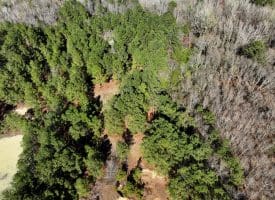 5+/- Acres of Hunting Land for Sale in Robeson County NC