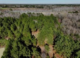 5+/- Acres of Hunting Land for Sale in Robeson County NC