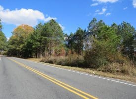 103+/- Acre Farm in Robeson County NC