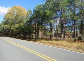 103+/- Acre Farm in Robeson County NC