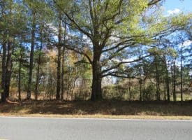 103+/- Acre Farm in Robeson County NC