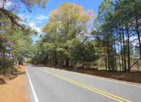 103+/- Acre Farm in Robeson County NC