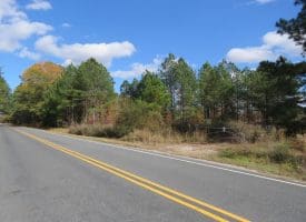 103+/- Acre Farm in Robeson County NC