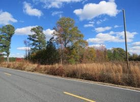 103+/- Acre Farm in Robeson County NC