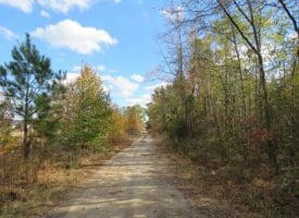 103+/- Acre Farm in Robeson County NC