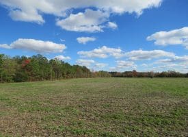 103+/- Acre Farm in Robeson County NC