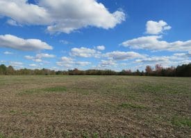 103+/- Acre Farm in Robeson County NC