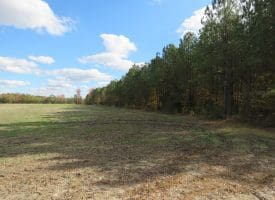 103+/- Acre Farm in Robeson County NC