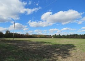 103+/- Acre Farm in Robeson County NC