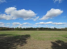 103+/- Acre Farm in Robeson County NC