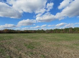 103+/- Acre Farm in Robeson County NC