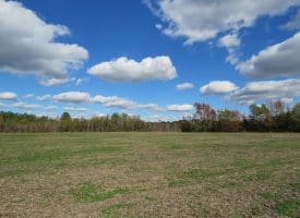 103+/- Acre Farm in Robeson County NC