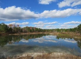 103+/- Acre Farm in Robeson County NC