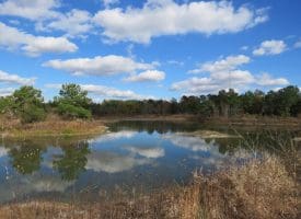 103+/- Acre Farm in Robeson County NC