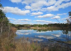 103+/- Acre Farm in Robeson County NC