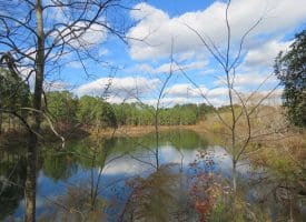 103+/- Acre Farm in Robeson County NC