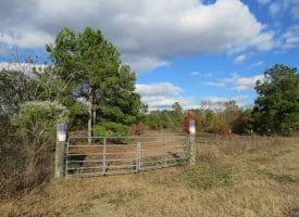 103+/- Acre Farm in Robeson County NC