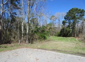 12.8+/- Antioch Rd Recreational Land In Robeson County NC