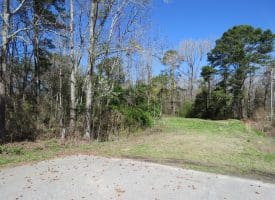 12.8+/- Antioch Rd Homesite In Robeson County NC