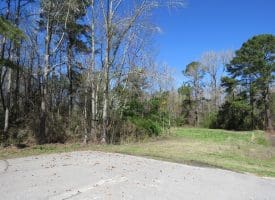 12.8+/- Antioch Rd Recreational Land In Robeson County NC
