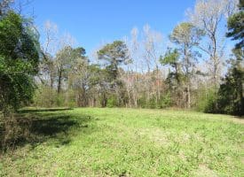 12.8+/- Antioch Rd Recreational Land In Robeson County NC