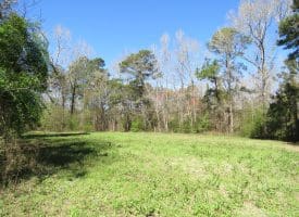 12.8+/- Antioch Rd Homesite In Robeson County NC