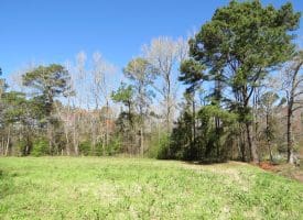 12.8+/- Antioch Rd Homesite In Robeson County NC