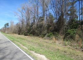 57 +/- Acres of Hunting Land For Sale in Robeson County NC