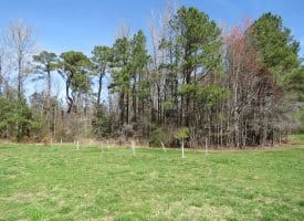 57 +/- Acres of Hunting Land For Sale in Robeson County NC