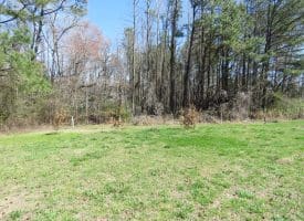 57 +/- Acres of Hunting Land For Sale in Robeson County NC