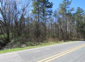 122+/- Acres of Hunting and Timberland In Robeson County, NC