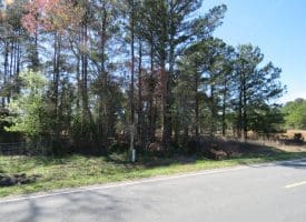 122+/- Acres of Hunting and Timberland In Robeson County, NC