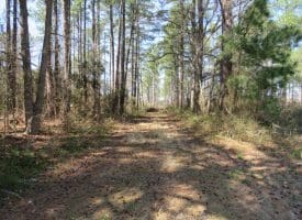 19+/- Acres of Farm and Residential Land For Sale in Robeson County, NC