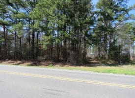 19+/- Acres of Farm and Residential Land For Sale in Robeson County, NC