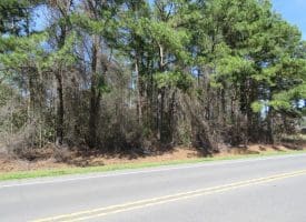 19+/- Acres of Farm and Residential Land For Sale in Robeson County, NC