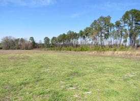 19+/- Acres of Farm and Residential Land For Sale in Robeson County, NC
