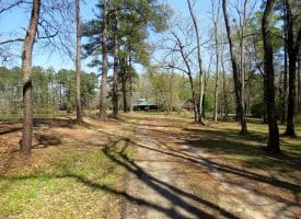 63 +/- Acre Country Estate For Sale in Dillon County SC!