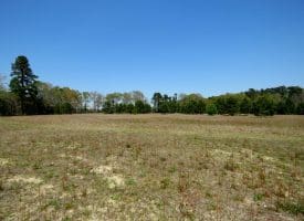 63 +/- Acre Country Estate For Sale in Dillon County SC!