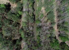 35+/- Acres of Residential and Hunting Land For Sale in Robeson County NC!