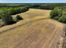 23+/- Acre Farm For Sale in Robeson County NC!