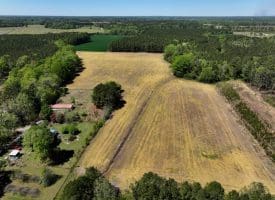 23+/- Acre Farm For Sale in Robeson County NC!