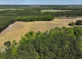 23+/- Acre Farm For Sale in Robeson County NC!