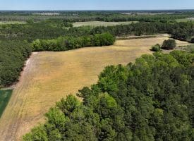23+/- Acre Farm For Sale in Robeson County NC!