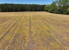 23+/- Acre Farm For Sale in Robeson County NC!