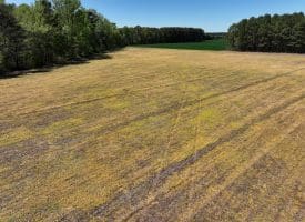 23+/- Acre Farm For Sale in Robeson County NC!