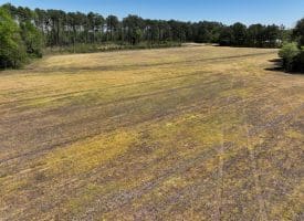 23+/- Acre Farm For Sale in Robeson County NC!