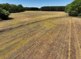 23+/- Acre Farm For Sale in Robeson County NC!